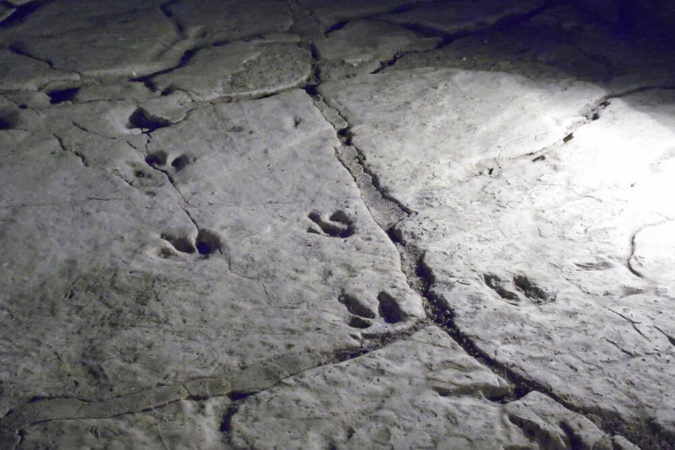 Sataplia-caves-dinosaur-footprints
