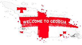 welcome-to-georgia.png